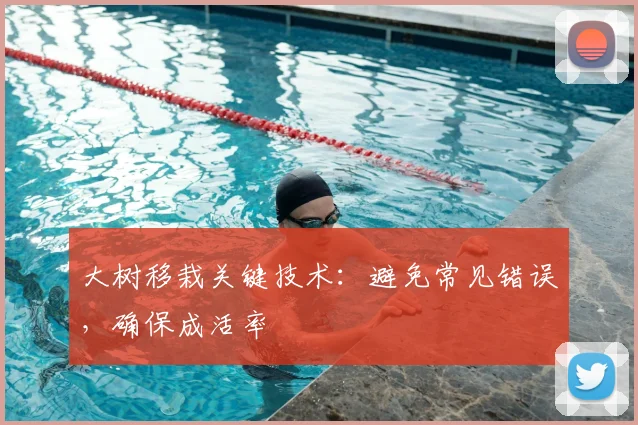 大树移栽关键技术:避免常见错误,确保成活率