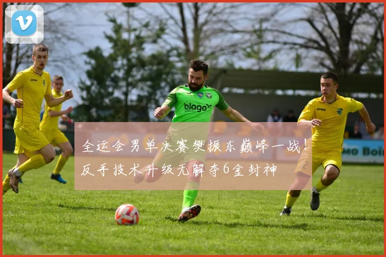 全运会男单决赛樊振东巅峰一战！反手技术升级无解夺6金封神