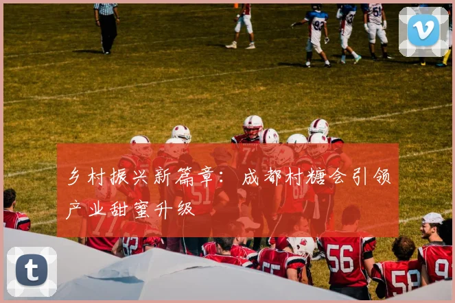乡村振兴新篇章：成都村糖会引领产业甜蜜升级